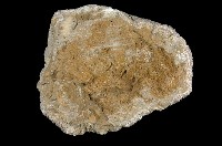北投石藏品圖，第7張